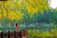 足球即足比分-足球即足比分，绿茵场上的数字密码与激情交响
