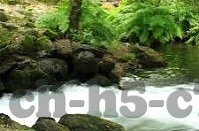 足球同角球比分直播-足球同角球比分直播，绿茵场上的数据盛宴与战术密码
